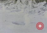 Image Gooneyville oiseaux Océan Pacifique, 1945, de la seconde 37 séquences d'archives historiques vidéo 65675076077