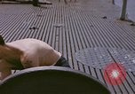 Image of American sailors United States USA, 1945, second 15 stock footage video 65675076079