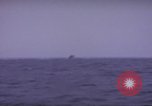 Standbild USS Cod (SS-224) Rettung der Besatzung des niederländischen U-Boot O-19 Spratly Inseln, 1945, aus Sekunde 43 historischem Filmmaterial Videoclip 65675076083