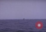 Standbild USS Cod (SS-224) Rettung der Besatzung des niederländischen U-Boot O-19 Spratly Inseln, 1945, aus Sekunde 57 historischem Filmmaterial Videoclip 65675076083
