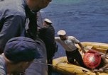 Image of USS Cod (SS-224) rescuing crew from Dutch submarine (O-19) Spratly Islands, 1945, second 56 stock footage video 65675076087