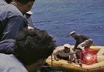 Image of USS Cod (SS-224) rescuing crew from Dutch submarine (O-19) Spratly Islands, 1945, second 59 stock footage video 65675076087