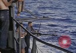 Standbild USS Cod Brände Waffen zu versenken niederländischen U-Boot O-19 Spratly Inseln, 1945, aus Sekunde 41 historischem Filmmaterial Videoclip 65675076088