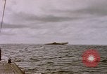 Image of USS Cod (SS-224) fires at Dutch submarine, O-19, to scuttle her Spratly Islands, 1945, second 32 stock footage video 65675076089