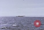 Image of USS Cod fires deck gun in actions to scuttle Dutch submarine, O-19 Spratly Islands, 1945, second 56 stock footage video 65675076091