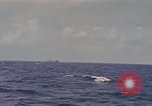 Image of freighter Pacific Ocean, 1945, second 9 stock footage video 65675076097