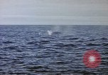 Image of explosion of mine Pacific Ocean, 1945, second 26 stock footage video 65675076099