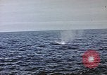 Image of explosion of mine Pacific Ocean, 1945, second 30 stock footage video 65675076099