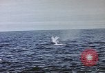 Image of explosion of mine Pacific Ocean, 1945, second 31 stock footage video 65675076099