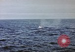 Image of explosion of mine Pacific Ocean, 1945, second 32 stock footage video 65675076099