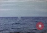 Image of explosion of mine Pacific Ocean, 1945, second 42 stock footage video 65675076099