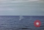 Image of explosion of mine Pacific Ocean, 1945, second 45 stock footage video 65675076099