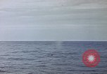 Image of explosion of mine Pacific Ocean, 1945, second 56 stock footage video 65675076099