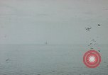 Image of USS Sea Owl Pacific Ocean, 1945, second 6 stock footage video 65675076105