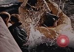 Standbild USS Sea Owl Pazifik, 1945, aus Sekunde 55 historischem Filmmaterial Videoclip 65675076107