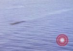 Image of American submarines on the surface Pacific Ocean, 1944, second 47 stock footage video 65675076129
