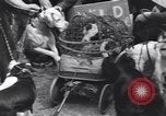 Standbild Pet's Parade Eugene Oregon USA, 1939, aus Sekunde 25 historischem Filmmaterial Videoclip 65675076142