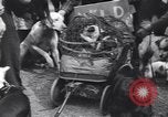 Standbild Pet's Parade Eugene Oregon USA, 1939, aus Sekunde 26 historischem Filmmaterial Videoclip 65675076142