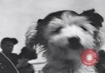 Standbild Pet's Parade Eugene Oregon USA, 1939, aus Sekunde 32 historischem Filmmaterial Videoclip 65675076142