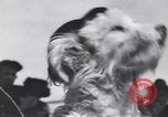 Standbild Pet's Parade Eugene Oregon USA, 1939, aus Sekunde 33 historischem Filmmaterial Videoclip 65675076142