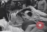 Standbild Pet's Parade Eugene Oregon USA, 1939, aus Sekunde 36 historischem Filmmaterial Videoclip 65675076142