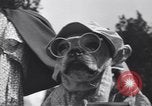 Standbild Pet's Parade Eugene Oregon USA, 1939, aus Sekunde 39 historischem Filmmaterial Videoclip 65675076142