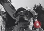 Standbild Pet's Parade Eugene Oregon USA, 1939, aus Sekunde 40 historischem Filmmaterial Videoclip 65675076142