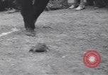 Standbild frog Jumping Wettbewerb Angels Camp California USA, 1939, aus Sekunde 22 historischem Filmmaterial Videoclip 65675076143