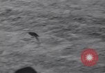 Standbild frog Jumping Wettbewerb Angels Camp California USA, 1939, aus Sekunde 35 historischem Filmmaterial Videoclip 65675076143