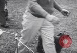 Image of dog show Madison New Jersey USA, 1939, second 13 stock footage video 65675076153