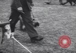 Image of dog show Madison New Jersey USA, 1939, second 14 stock footage video 65675076153