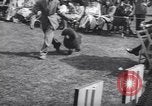 Image of dog show Madison New Jersey USA, 1939, second 17 stock footage video 65675076153