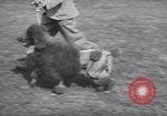 Image of dog show Madison New Jersey USA, 1939, second 20 stock footage video 65675076153