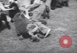 Image of dog show Madison New Jersey USA, 1939, second 21 stock footage video 65675076153