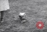 Image of dog show Madison New Jersey USA, 1939, second 22 stock footage video 65675076153