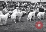 Image of dog show Madison New Jersey USA, 1939, second 26 stock footage video 65675076153
