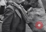 Image of dog show Madison New Jersey USA, 1939, second 48 stock footage video 65675076153