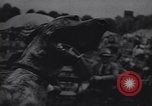 Image of dog show Madison New Jersey USA, 1939, second 53 stock footage video 65675076153