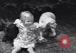 Image of dog show Madison New Jersey USA, 1939, second 55 stock footage video 65675076153