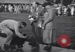 Image of dog show Madison New Jersey USA, 1939, second 57 stock footage video 65675076153