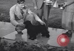 Image of dog show Madison New Jersey USA, 1939, second 62 stock footage video 65675076153