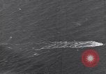 Image of American submarine Connecticut United States USA, 1942, second 39 stock footage video 65675076175