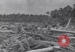 Image of US 27th Infantry Division Makin Island Kiribati Islands, 1943, second 3 stock footage video 65675076186