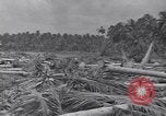 Image of US 27th Infantry Division Makin Island Kiribati Islands, 1943, second 5 stock footage video 65675076186