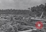 Image of US 27th Infantry Division Makin Island Kiribati Islands, 1943, second 6 stock footage video 65675076186