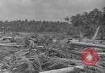 Image of US 27th Infantry Division Makin Island Kiribati Islands, 1943, second 7 stock footage video 65675076186