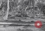 Image of US 27th Infantry Division Makin Island Kiribati Islands, 1943, second 11 stock footage video 65675076186