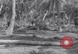 Image of US 27th Infantry Division Makin Island Kiribati Islands, 1943, second 13 stock footage video 65675076186