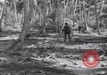 Image of US 27th Infantry Division Makin Island Kiribati Islands, 1943, second 18 stock footage video 65675076186