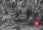 Image of US 27th Infantry Division Makin Island Kiribati Islands, 1943, second 37 stock footage video 65675076186